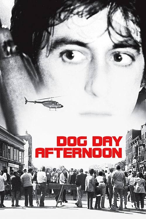 Dog Day Afternoon (1975) ด็อก เดย์ อาฟเตอร์นูน