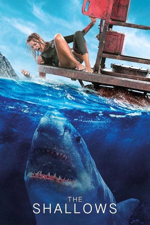 The Shallows (2016) นรกน้ำตื้น