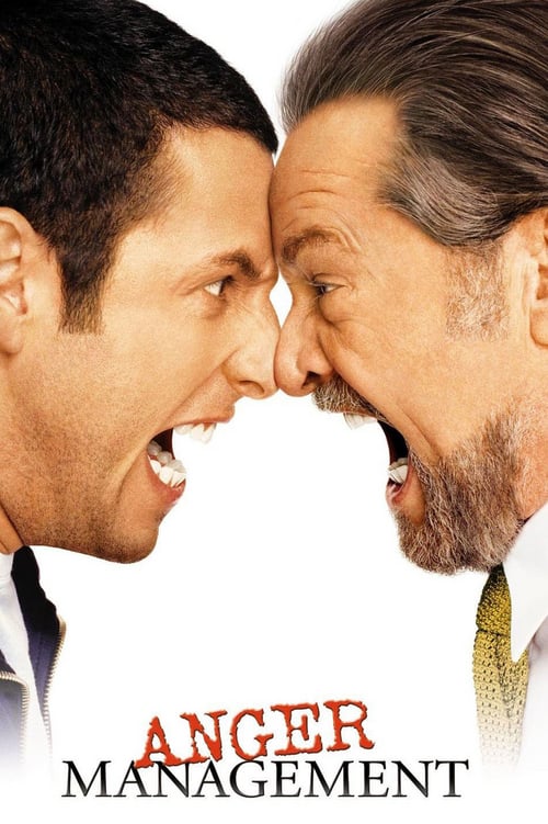 Anger Management (2003) สูตรเด็ด เพชฌฆาตความเครียด