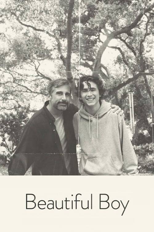 Beautiful Boy (2018) แด่ลูกชายสุดที่รัก