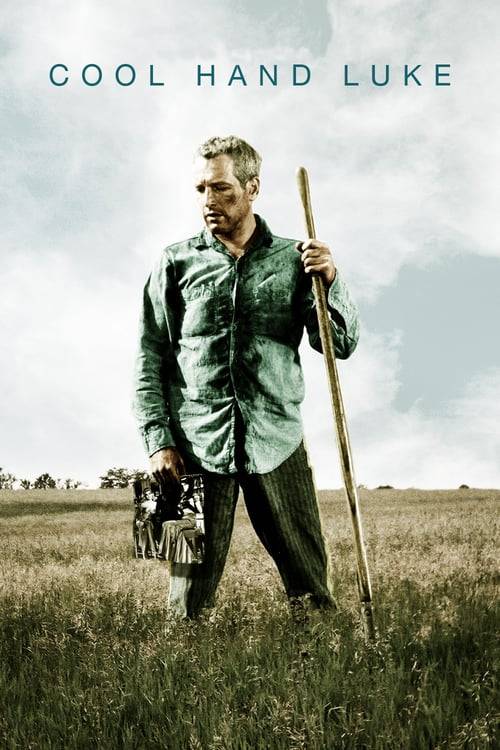 Cool Hand Luke (1967) คนสู้คน