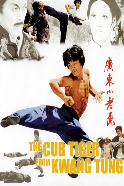Master With Cracked Fingers (1973) มังกรหมัดเทวดา
