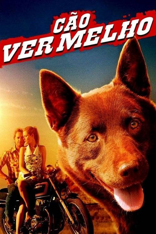 Red Dog (2011) เพื่อนซี้หัวใจหยุดโลก