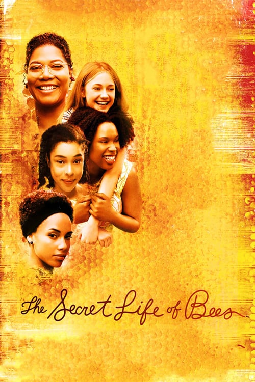 The Secret Life of Bees (2008) สูตรรักรสน้ำผึ้ง