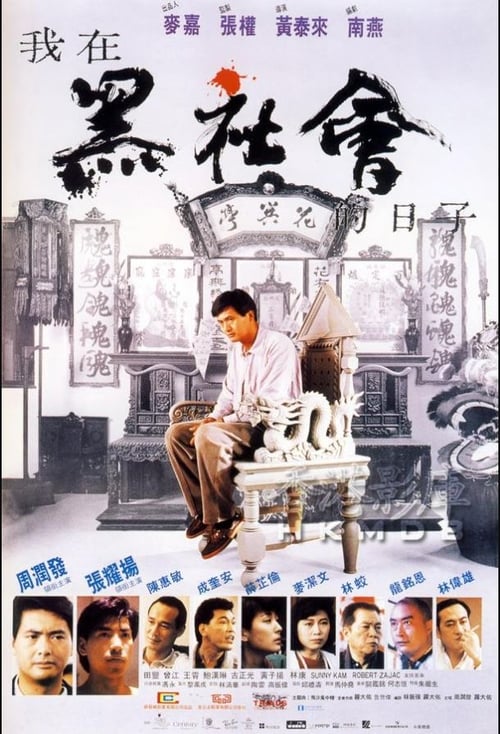 Triads The Inside Story (1989) โหดต้องโทษดวง