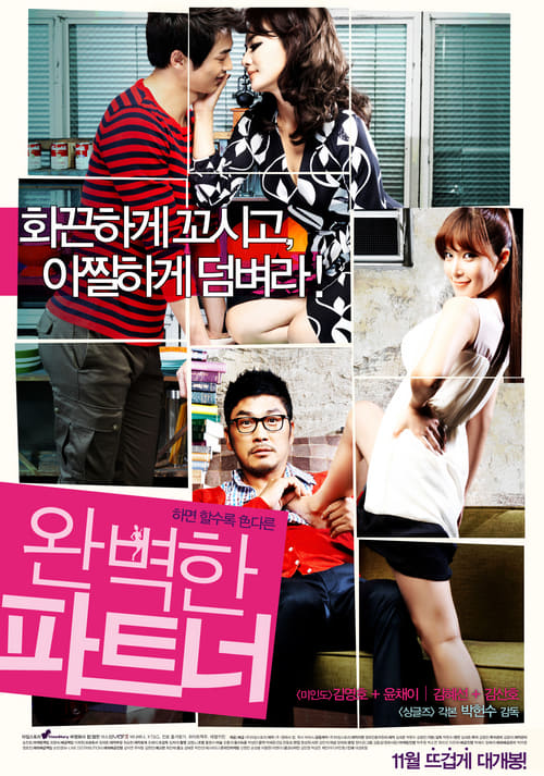 18+ Perfect Partner (2011)