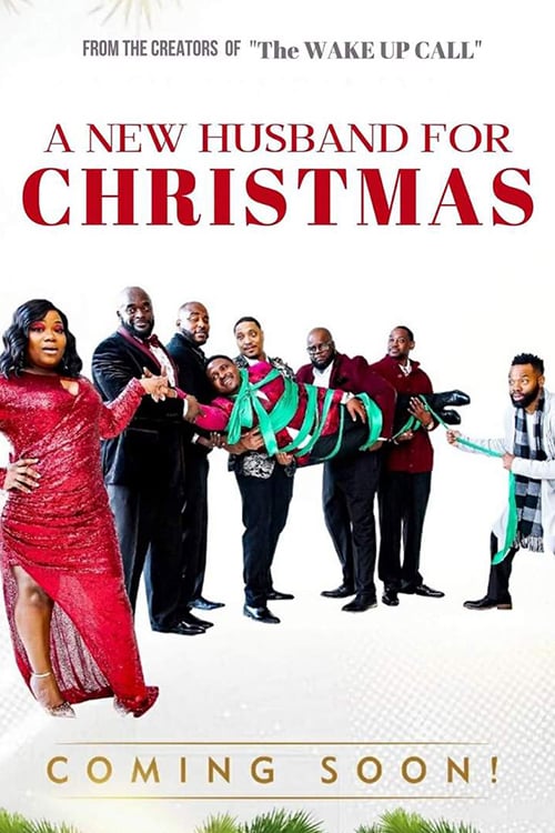 A New Husband for Christmas (2020) ผัวคนใหม่ในวันคริสมาสต์