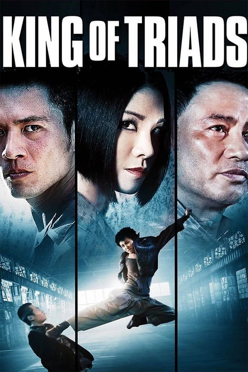 Bad Blood (2010) เตะสู้ฟัด วัดใจเจ้าพ่อ