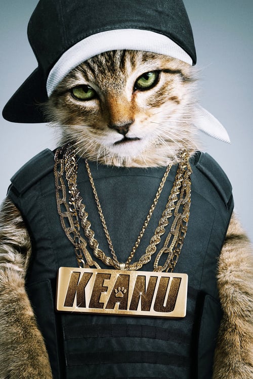 Keanu (2016) ปล้นแอ๊บแบ๊ว ทวงแมวเหมียว