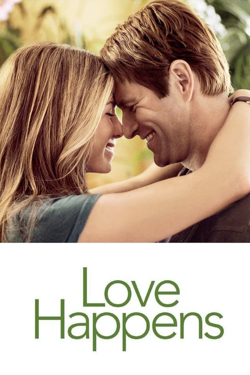 Love Happens (2009) รักแท้...มีแค่ครั้งเดียว