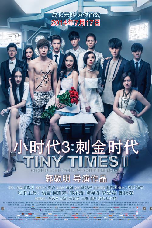 Tiny Times 3 (2014) วันเวลาคราทุกข์ทน