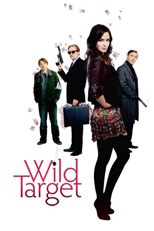 Wild Target (2010) โจรสาวแสบซ่าส์ เจอะนักฆ่ากลับใจ