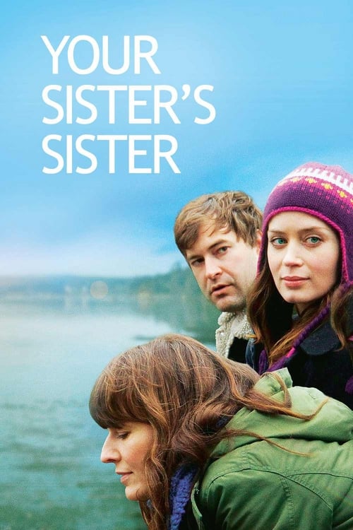 Your Sister's Sister (2011) รักพี่หัวใจน้อง