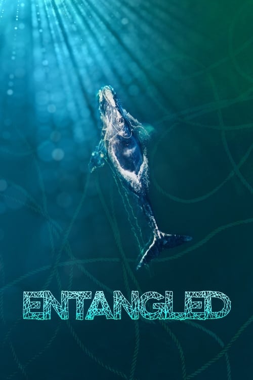 The Race to Save Right Whales from Extinction (2020)