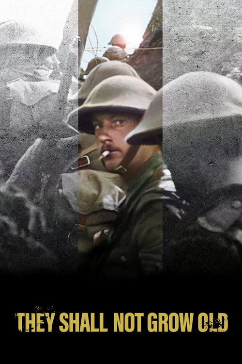 [NETFLIX] They Shall Not Grow Old (2018)