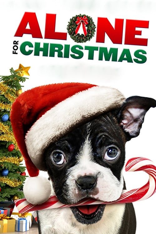 Alone For Christmas (2013) แก๊งน้องหมาโดดเดี่ยวผู้น่ารัก