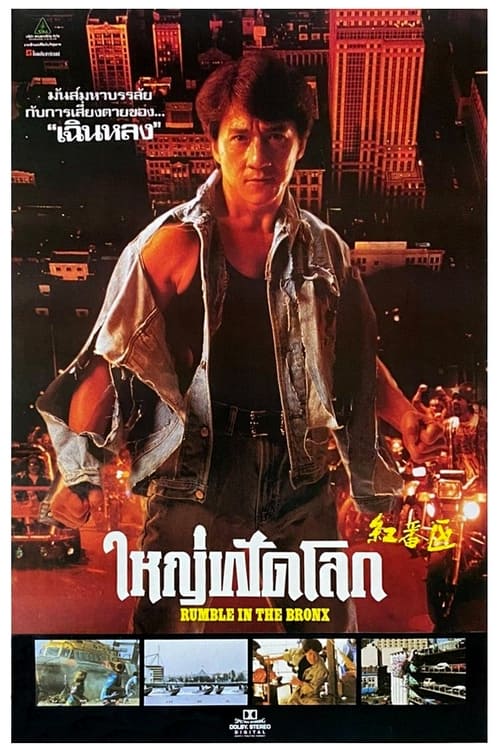 Rumble in the Bronx (1995) ใหญ่ฟัดโลก