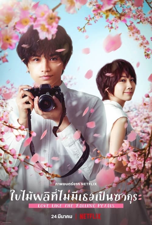 [NETFLIX] Love Like the Falling Petals (2022) ใบไม้ผลิที่ไม่มีเธอเป็นซากุระ