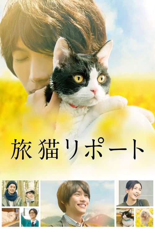 THE TRAVELLING CAT CHRONICLES (2018) ผม แมว และการเดินทางของเรา