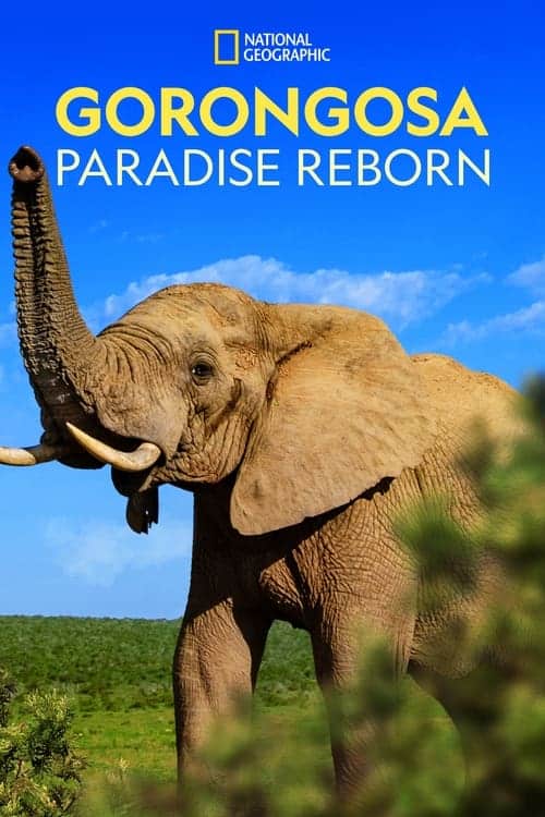 Gorongosa Paradise Reborn (2022)