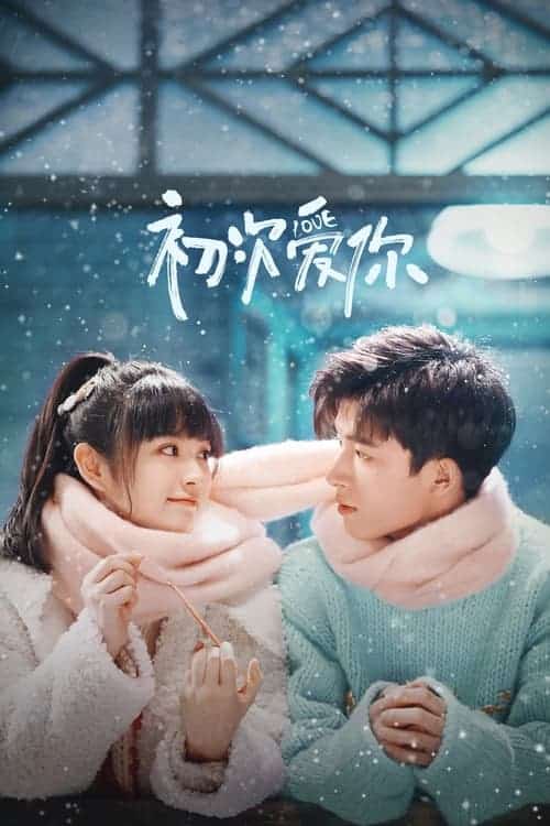 First Love (2022) วุ่นนัก โจทย์รักแรก