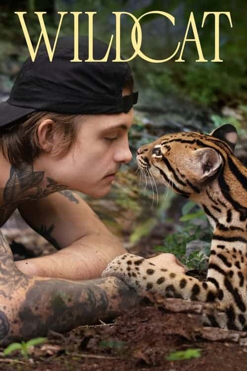 Wildcat (2022) ไวลด์แคต