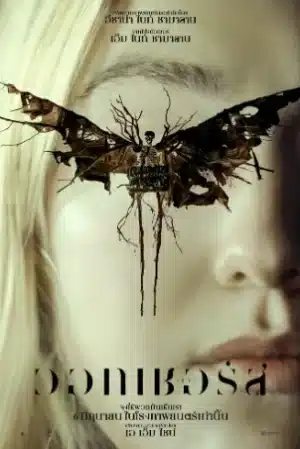 The Watchers (2024) เดอะวอทเชอร์ส