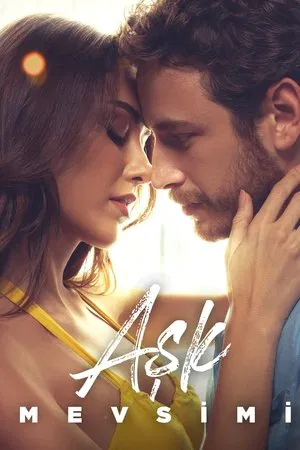 Season of Love (2024)